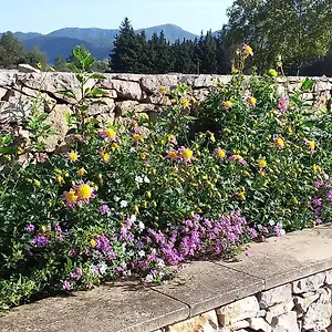 Séjour chez l'habitant Clos St Jean Baptiste, Tourves