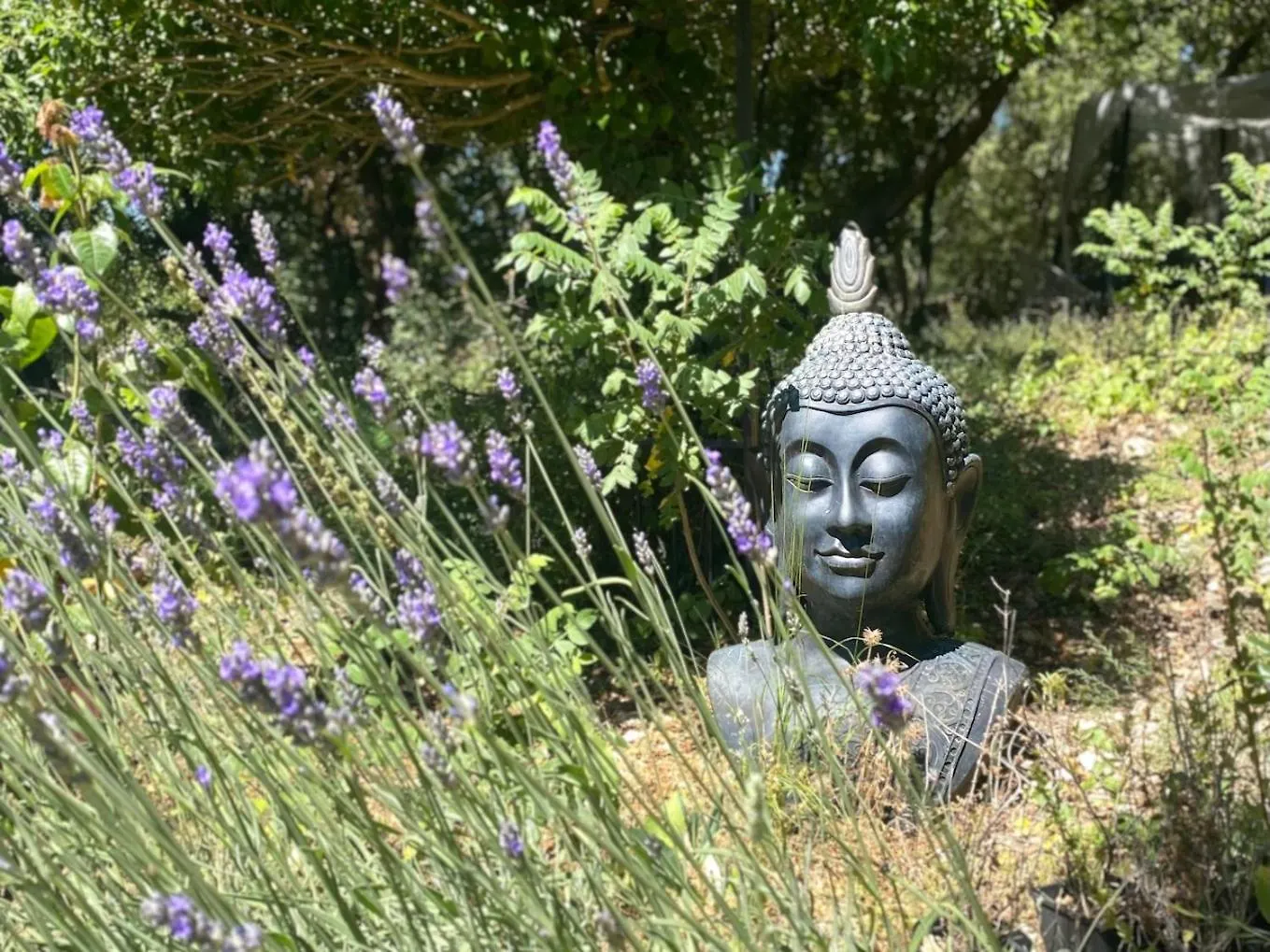 La Vie Est Belle En Provence Bed & Breakfast Tourves